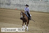 11deseret_1636 thumbnail