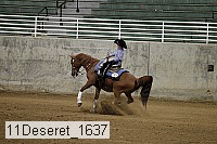 11deseret_1637 thumbnail