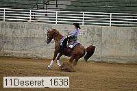 11deseret_1638 thumbnail