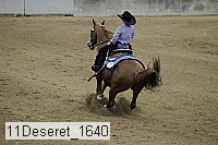 11deseret_1640 thumbnail