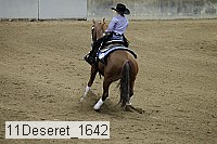 11deseret_1642 thumbnail