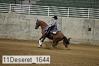 11deseret_1644 thumbnail