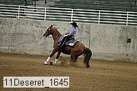 11deseret_1645 thumbnail