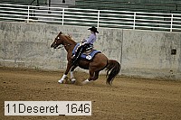 11deseret_1646 thumbnail