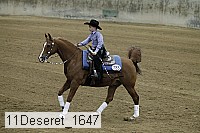 11deseret_1647 thumbnail