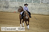 11deseret_1649 thumbnail