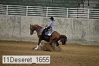 11deseret_1655 thumbnail