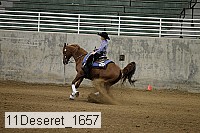 11deseret_1657 thumbnail