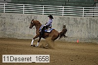 11deseret_1658 thumbnail