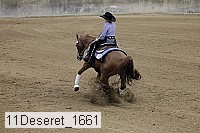 11deseret_1661 thumbnail