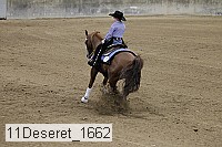 11deseret_1662 thumbnail