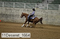 11deseret_1664 thumbnail