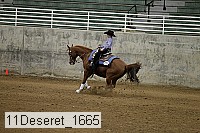 11deseret_1665 thumbnail