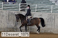11deseret_1875 thumbnail