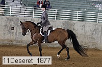 11deseret_1877 thumbnail