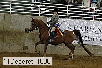 11deseret_1886 thumbnail