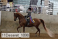 11deseret_1898 thumbnail