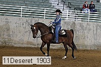 11deseret_1903 thumbnail