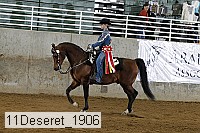 11deseret_1906 thumbnail