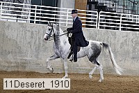 11deseret_1910 thumbnail