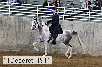 11deseret_1911 thumbnail