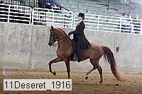 11deseret_1916 thumbnail