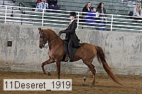 11deseret_1919 thumbnail