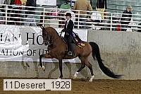 11deseret_1928 thumbnail