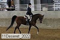 11deseret_2022 thumbnail