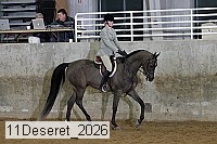 11deseret_2026 thumbnail