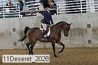 11deseret_2028 thumbnail