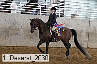 11deseret_2030 thumbnail