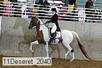 11deseret_2040 thumbnail