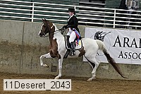 11deseret_2043 thumbnail