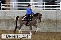 11deseret_2047 thumbnail