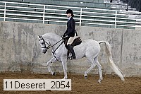 11deseret_2054 thumbnail