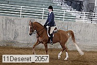 11deseret_2057 thumbnail