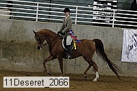 11deseret_2066 thumbnail