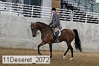 11deseret_2072 thumbnail