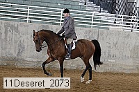 11deseret_2073 thumbnail