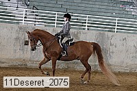 11deseret_2075 thumbnail