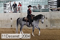 11deseret_2084 thumbnail