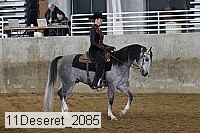 11deseret_2085 thumbnail