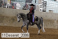 11deseret_2086 thumbnail