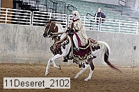 11deseret_2102 thumbnail