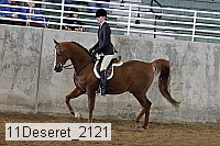 11deseret_2121 thumbnail