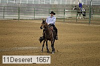 11deseret_1667 thumbnail