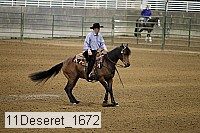 11deseret_1672 thumbnail