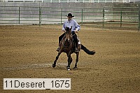 11deseret_1675 thumbnail