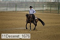 11deseret_1676 thumbnail